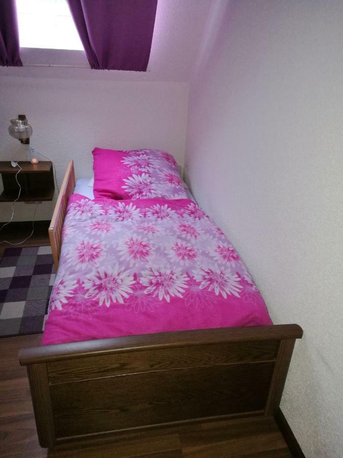 Ferienwohnung Hartmann Frankenau Kültér fotó